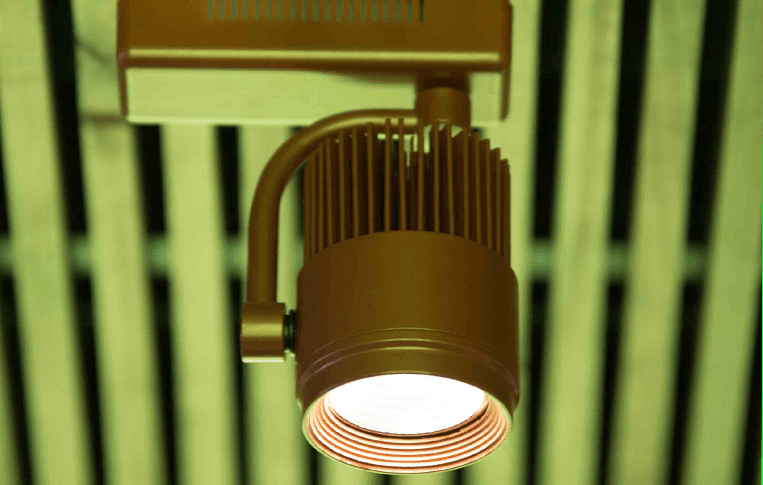 Santa Lolla - Imagem 6