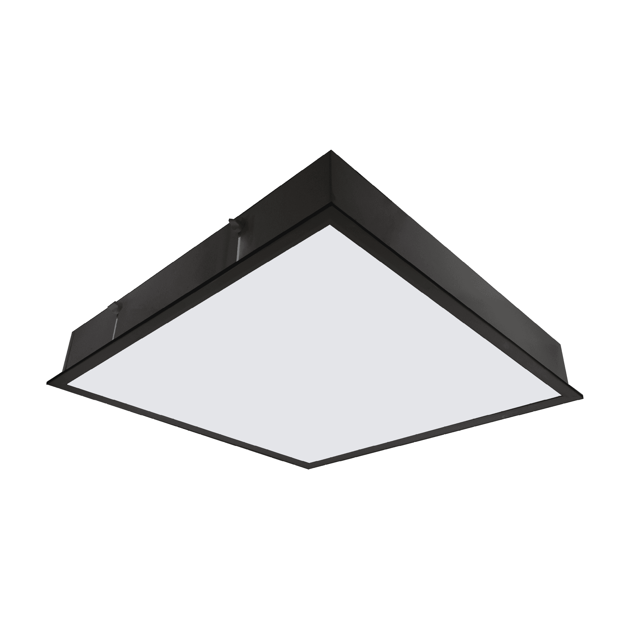 Dong Plus - Imagem 2